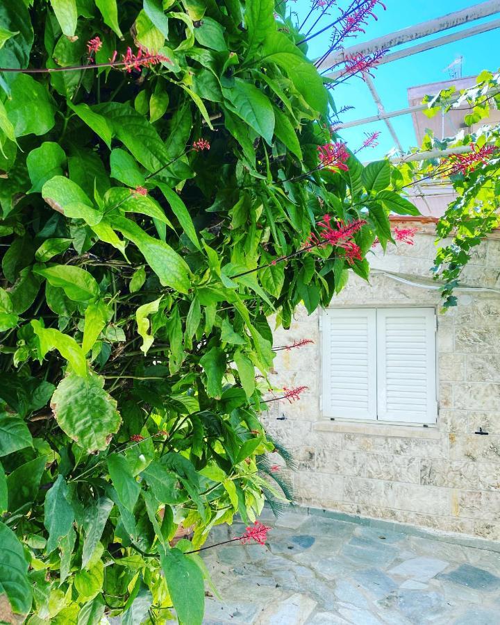 Little Cottage أثينا المظهر الخارجي الصورة