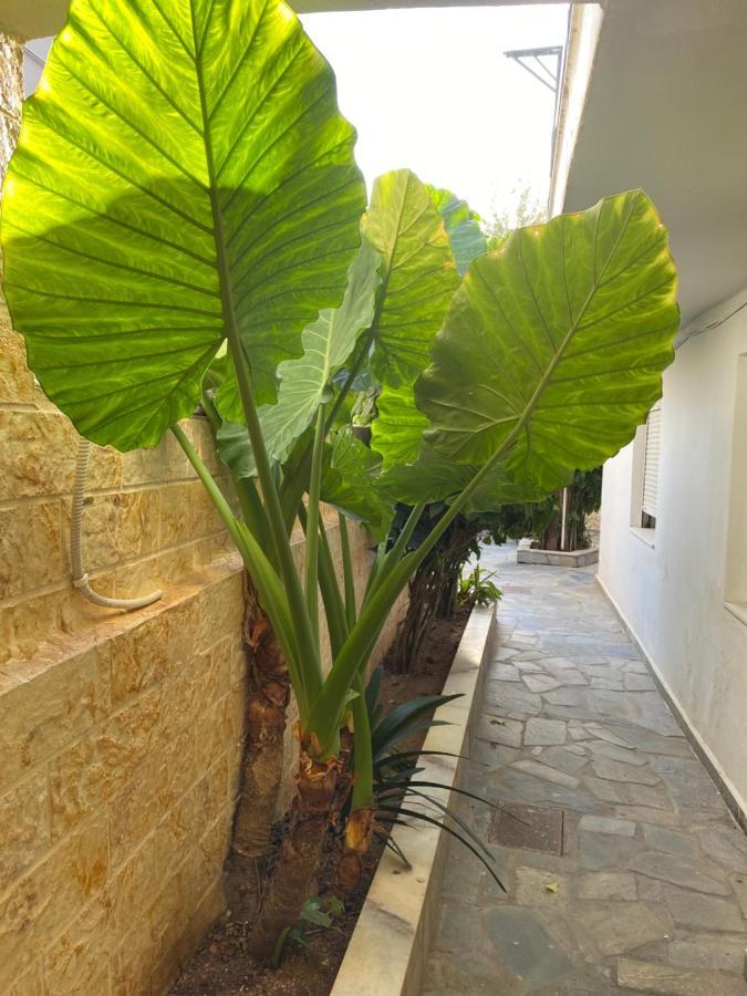 Little Cottage أثينا المظهر الخارجي الصورة